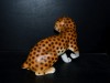 Leopard 824 pastel.