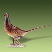 Pheasant 315 luxor.